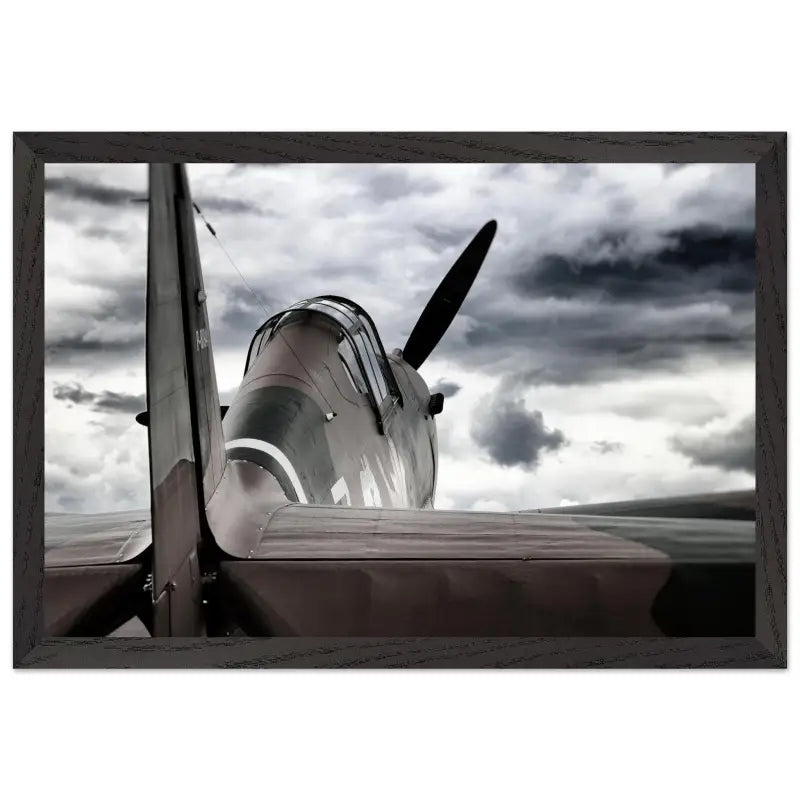Curtiss P-40C Tomahawk with Moody Sky - Print Material - Gifts for pilots - Aviation apparel