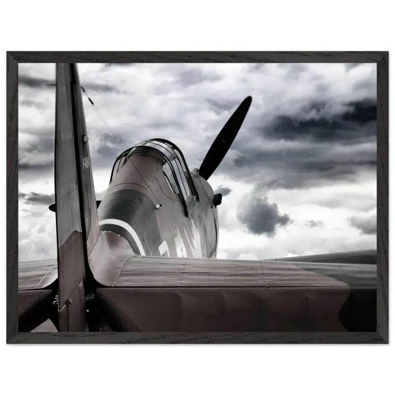 Curtiss P-40C Tomahawk with Moody Sky - Print Material - Gifts for pilots - Aviation apparel
