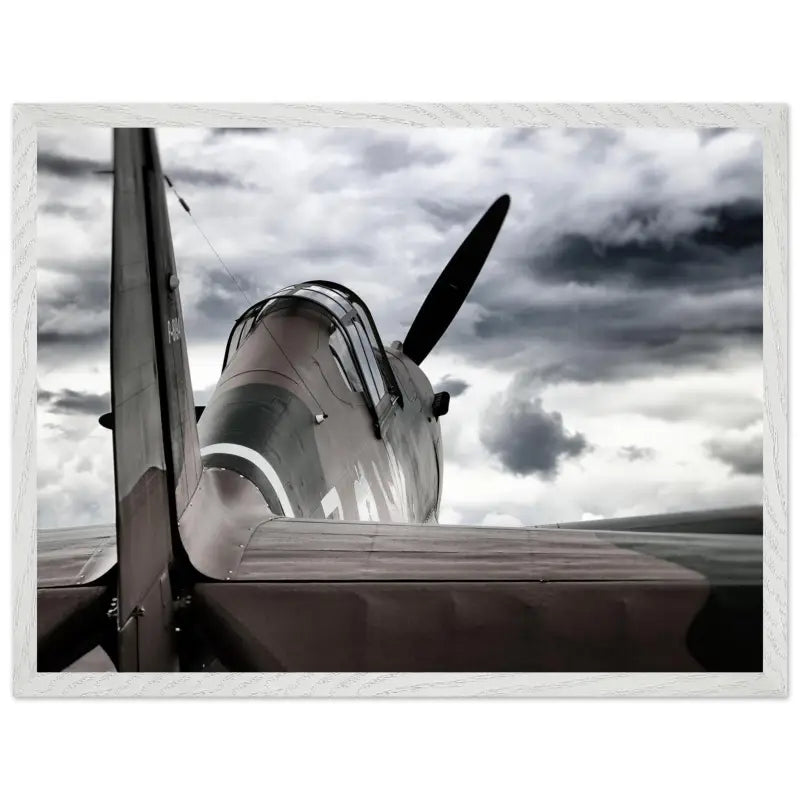 Curtiss P-40C Tomahawk with Moody Sky - Print Material - Gifts for pilots - Aviation apparel