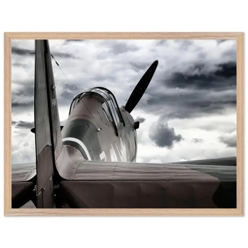 Curtiss P-40C Tomahawk with Moody Sky - Print Material - Gifts for pilots - Aviation apparel