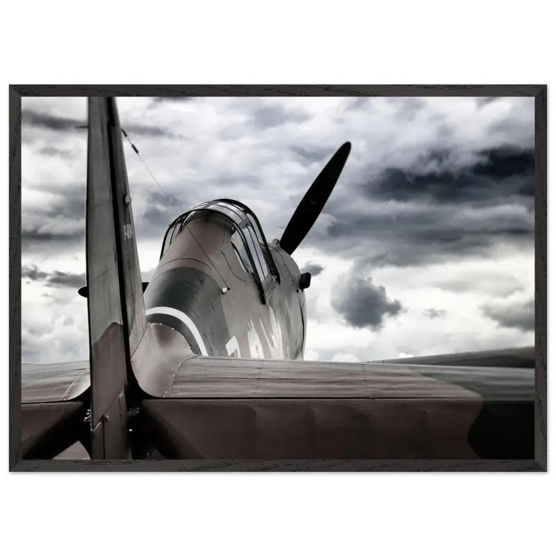 Curtiss P-40C Tomahawk with Moody Sky - Print Material - Gifts for pilots - Aviation apparel
