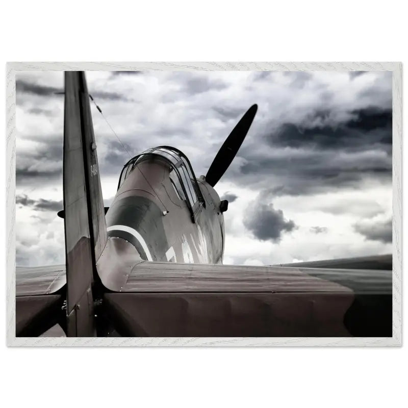 Curtiss P-40C Tomahawk with Moody Sky - Print Material - Gifts for pilots - Aviation apparel