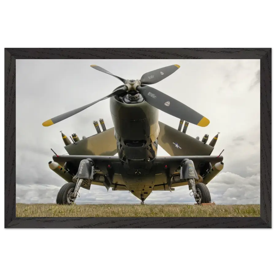 Douglas Skyraider – Armed and Ready - Print Material - Gifts for pilots - Aviation apparel