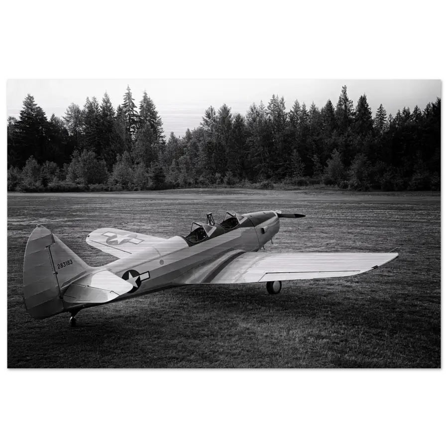 Fairchild PT-19 Cornell B&W - Metal Print - Material - Gifts for pilots - Aviation apparel