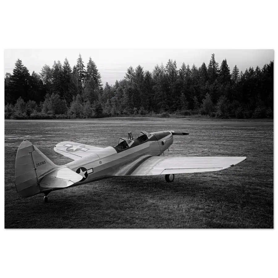 Fairchild PT-19 Cornell B&W - Metal Print - Material - Gifts for pilots - Aviation apparel