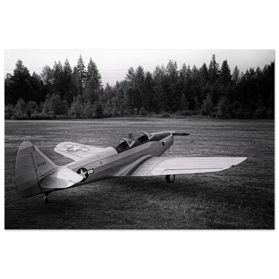Fairchild PT-19 Cornell B&W - Metal Print - Material - Gifts for pilots - Aviation apparel