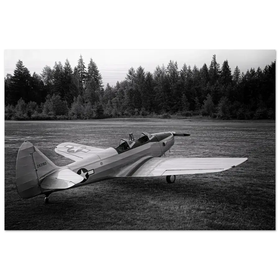 Fairchild PT-19 Cornell B&W - Metal Print - Material - Gifts for pilots - Aviation apparel
