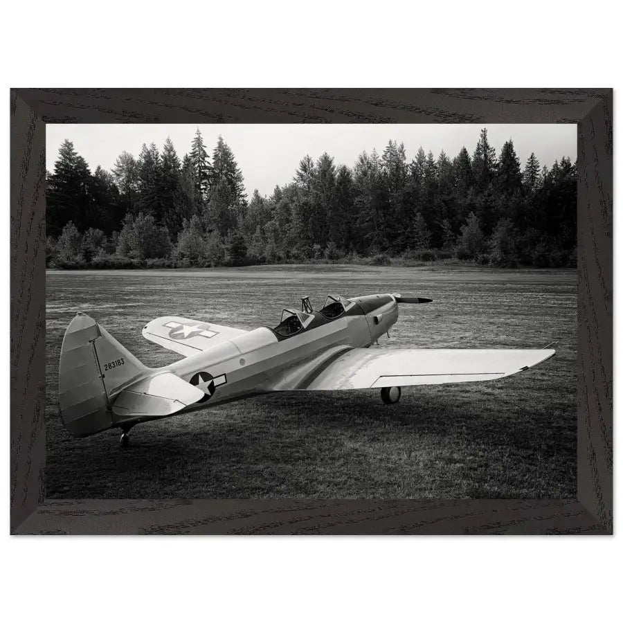 Fairchild PT-19 Cornell - BW - Print Material - Gifts for pilots - Aviation apparel