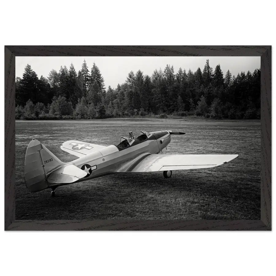 Fairchild PT-19 Cornell - BW - Print Material - Gifts for pilots - Aviation apparel