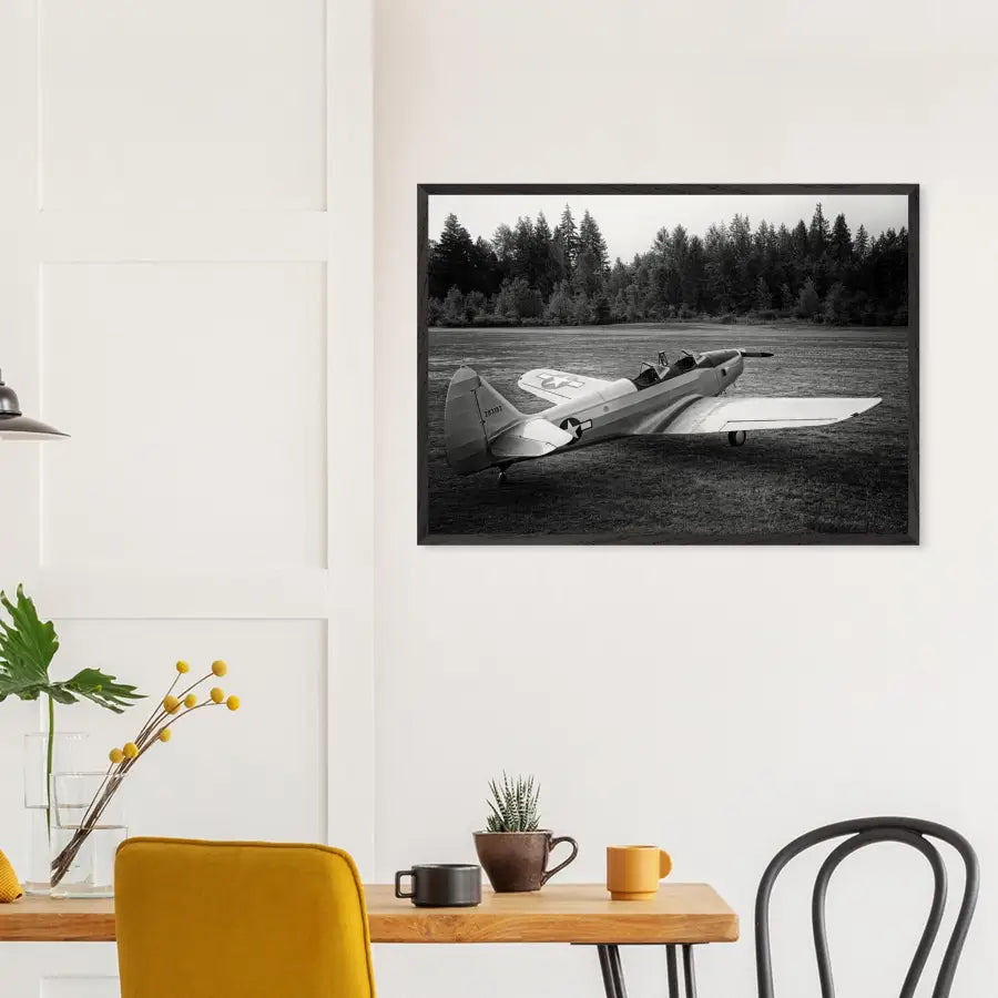 Fairchild PT-19 Cornell - BW - Print Material - Gifts for pilots - Aviation apparel