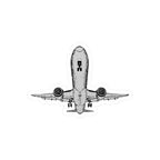 Final Approach Kiss-Cut Vinyl Decal - Paper products - Pilot gifts - WWII warbird t-shirt
