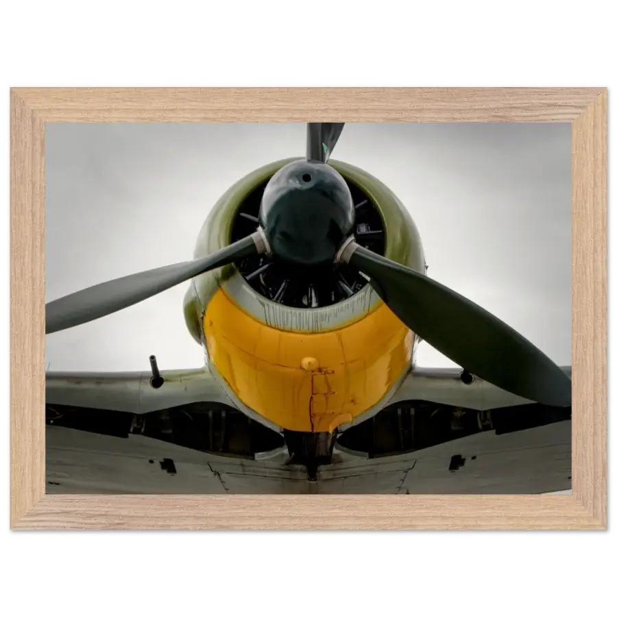 Fw 190A-5 - Worn and Ready - Print Material - Gifts for pilots - Aviation apparel