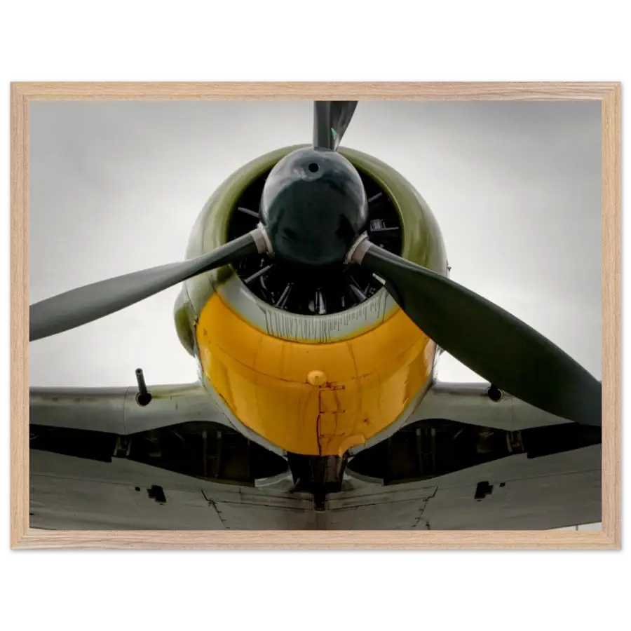 Fw 190A-5 - Worn and Ready - Print Material - Gifts for pilots - Aviation apparel