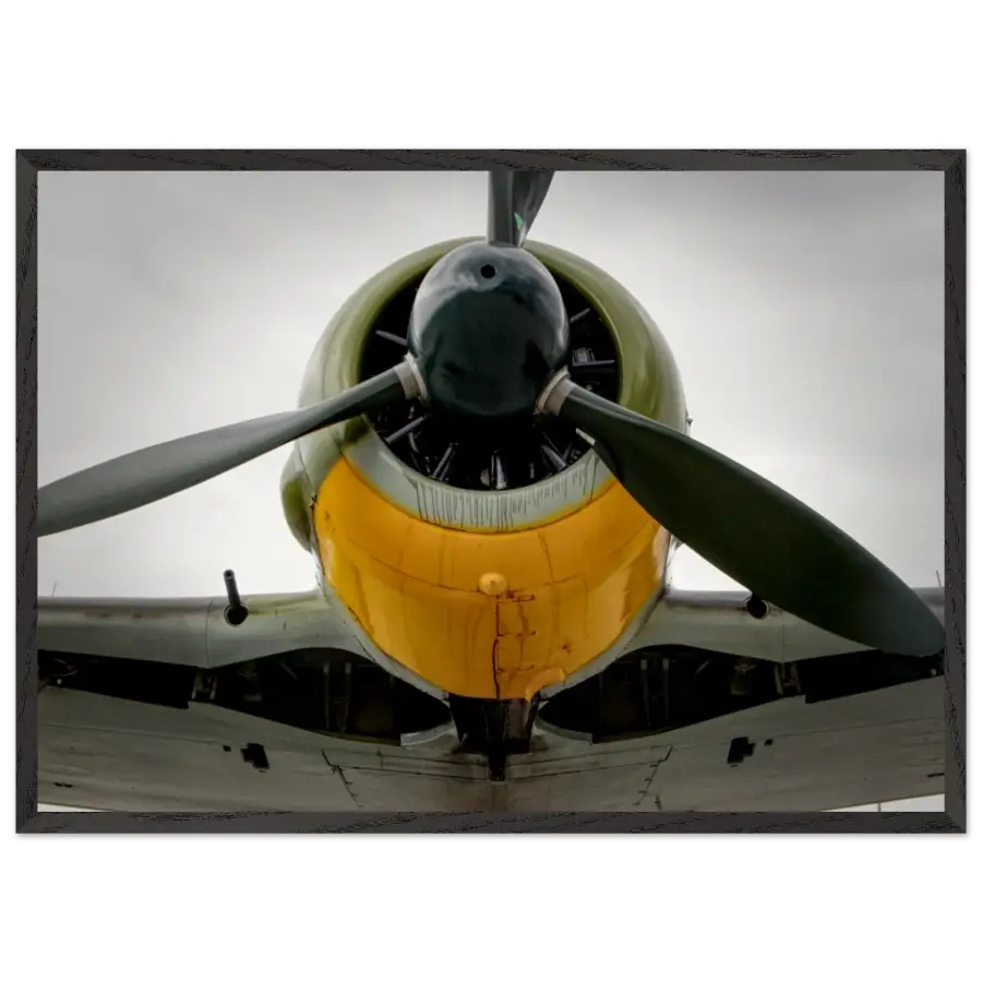 Fw 190A-5 - Worn and Ready - Print Material - Gifts for pilots - Aviation apparel
