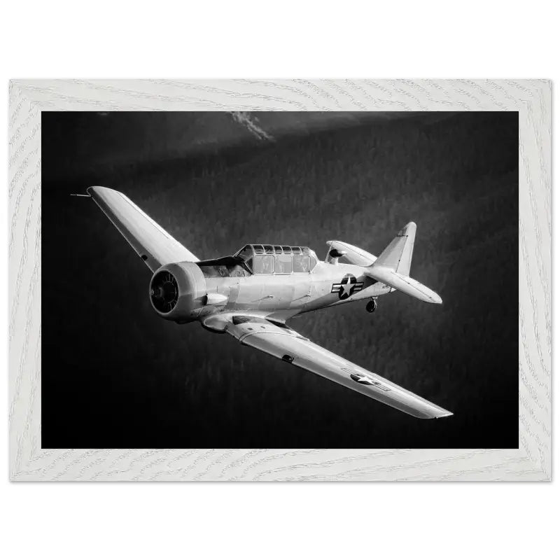 Ghost of the Forest: T-6 Texan in Black and White - Print Material - Gifts for pilots - Aviation apparel