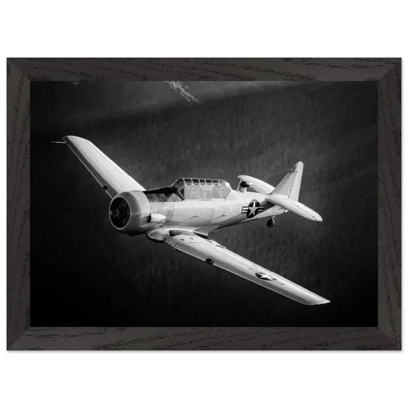 Ghost of the Forest: T-6 Texan in Black and White - Print Material - Gifts for pilots - Aviation apparel