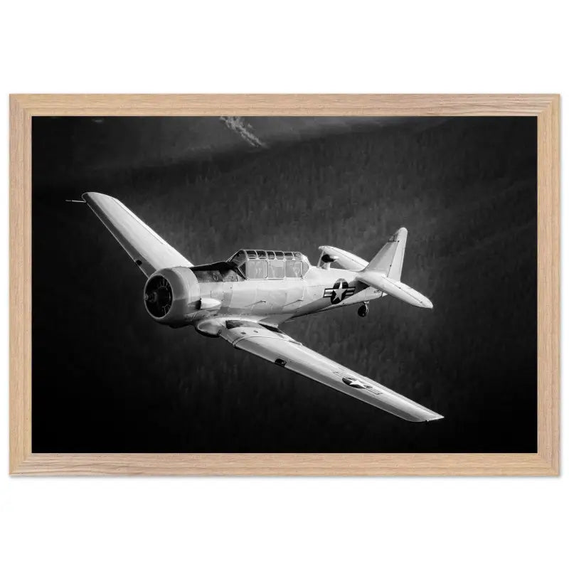 Ghost of the Forest: T-6 Texan in Black and White - Print Material - Gifts for pilots - Aviation apparel