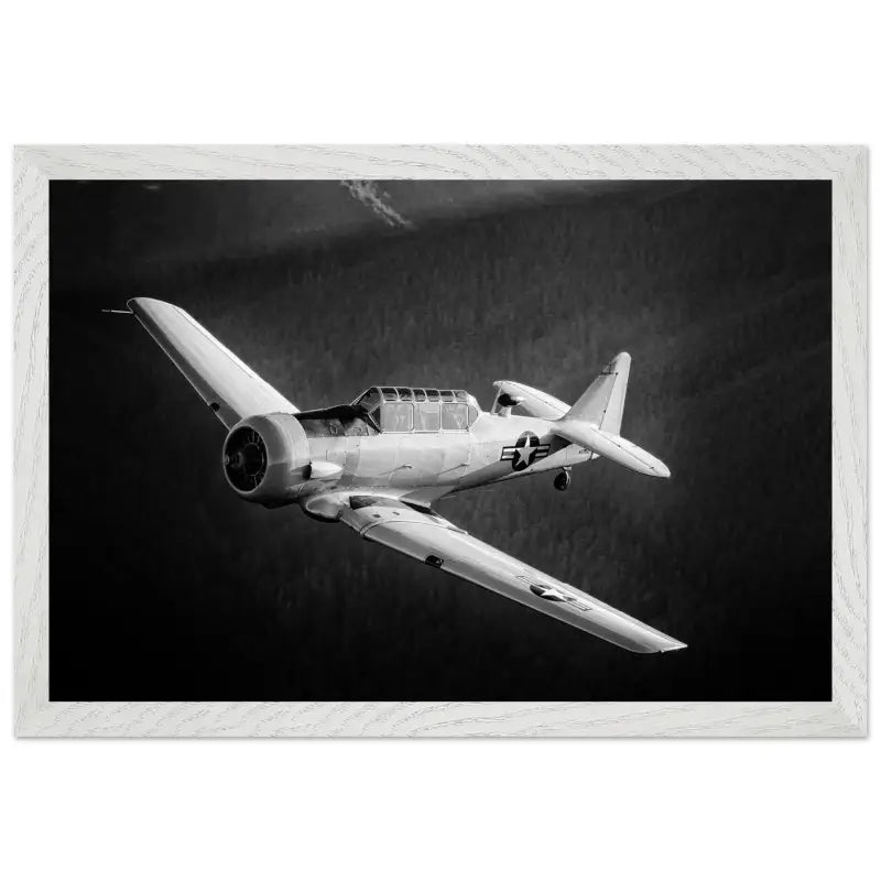 Ghost of the Forest: T-6 Texan in Black and White - Print Material - Gifts for pilots - Aviation apparel