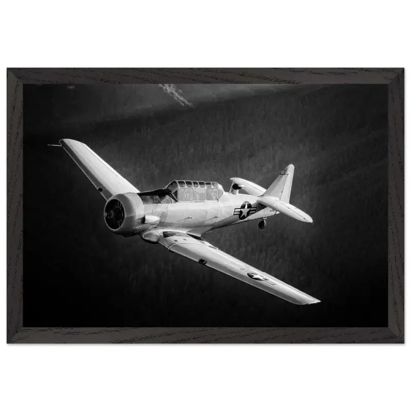 Ghost of the Forest: T-6 Texan in Black and White - Print Material - Gifts for pilots - Aviation apparel