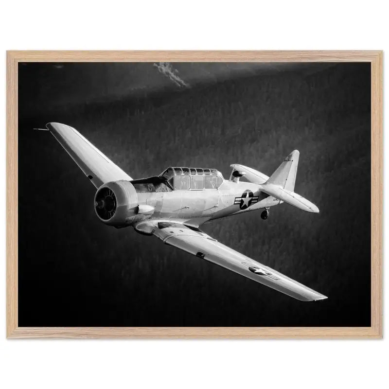 Ghost of the Forest: T-6 Texan in Black and White - Print Material - Gifts for pilots - Aviation apparel