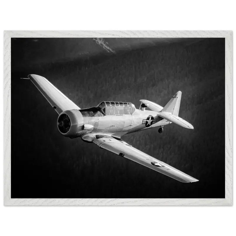 Ghost of the Forest: T-6 Texan in Black and White - Print Material - Gifts for pilots - Aviation apparel