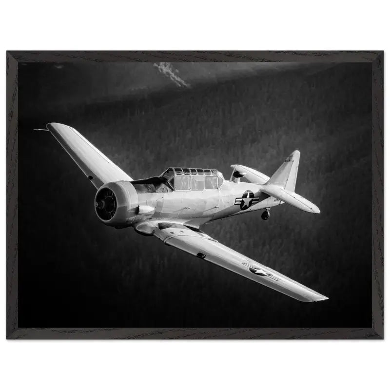 Ghost of the Forest: T-6 Texan in Black and White - Print Material - Gifts for pilots - Aviation apparel