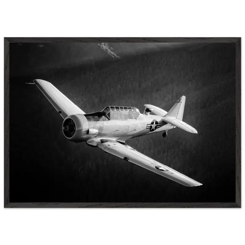 Ghost of the Forest: T-6 Texan in Black and White - Print Material - Gifts for pilots - Aviation apparel