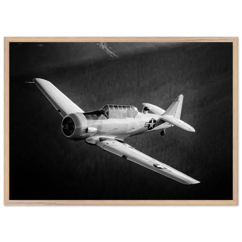 Ghost of the Forest: T-6 Texan in Black and White - Print Material - Gifts for pilots - Aviation apparel