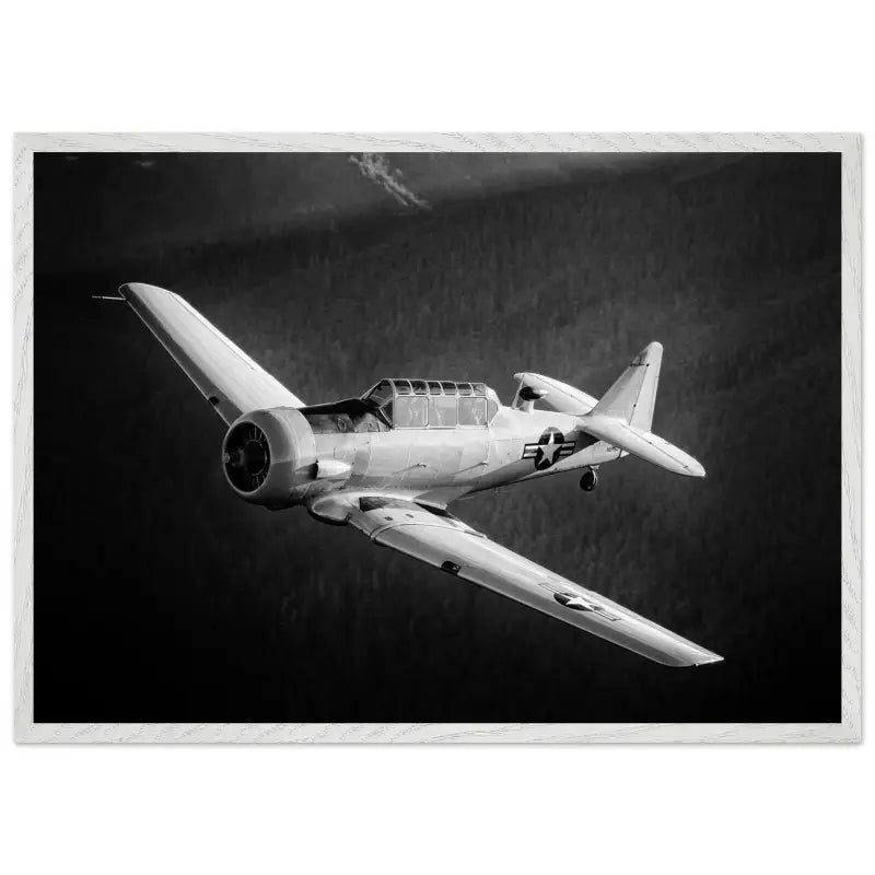 Ghost of the Forest: T-6 Texan in Black and White - Print Material - Gifts for pilots - Aviation apparel