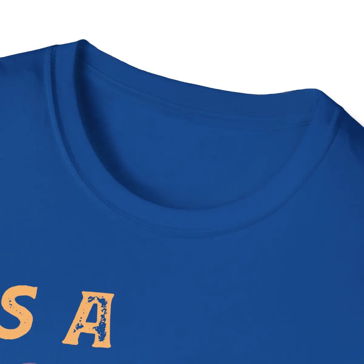 Good Day To Protect Democracy - T-Shirt - Pilot gifts - WWII warbird t-shirt