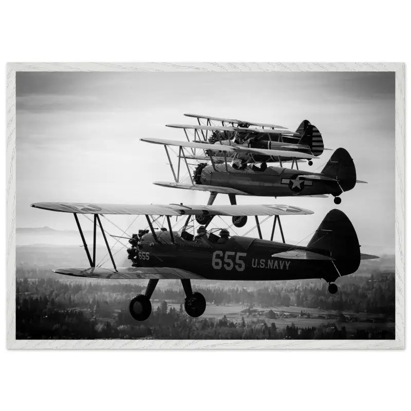 Heritage in Formation: Stearman Biplanes Monochrome - Print Material - Gifts for pilots - Aviation apparel