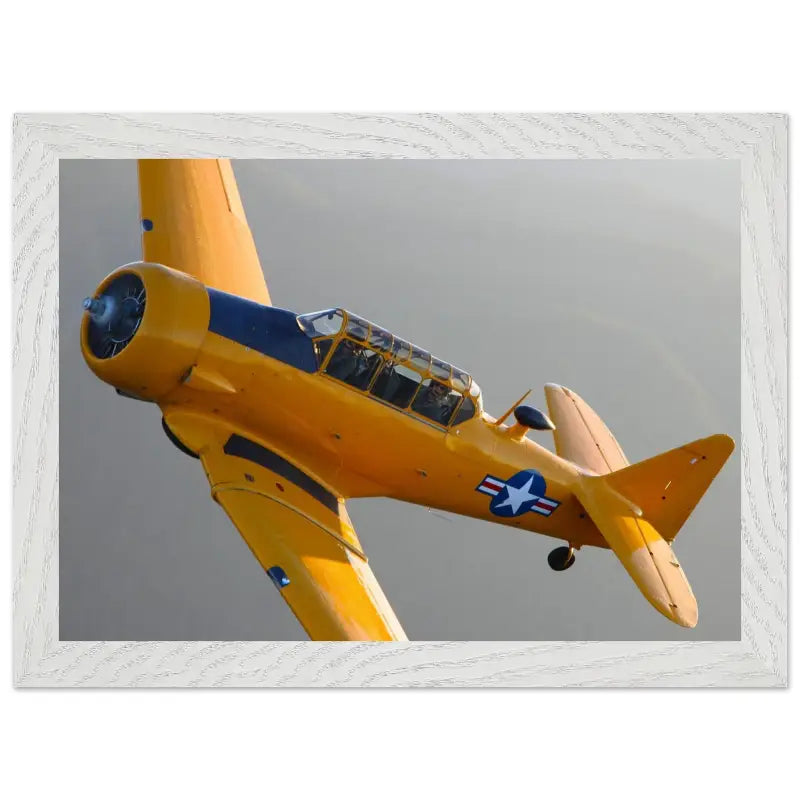 In Formation: North American T-6G Texan in Flight - Print Material - Gifts for pilots - Aviation apparel