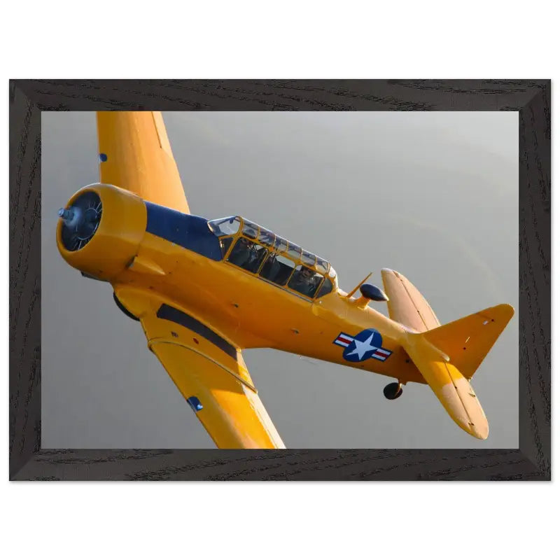 In Formation: North American T-6G Texan in Flight - Print Material - Gifts for pilots - Aviation apparel