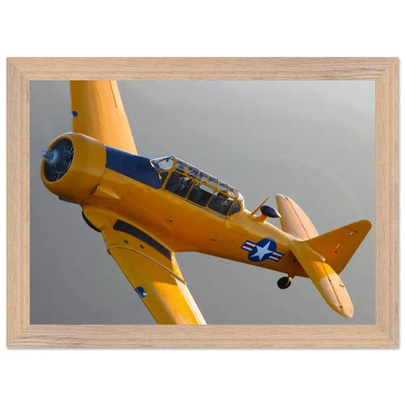 In Formation: North American T-6G Texan in Flight - Print Material - Gifts for pilots - Aviation apparel