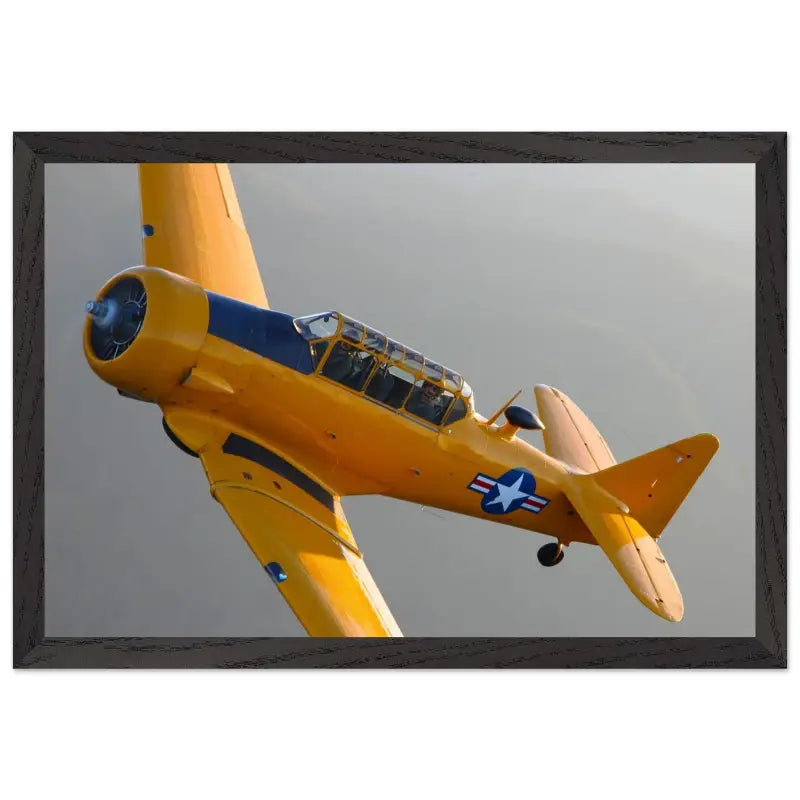 In Formation: North American T-6G Texan in Flight - Print Material - Gifts for pilots - Aviation apparel