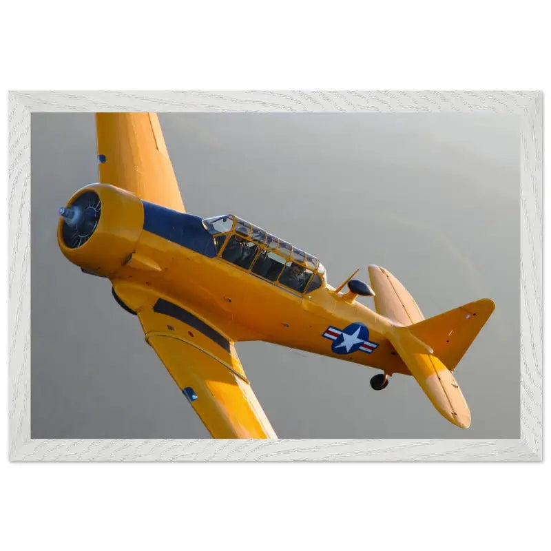 In Formation: North American T-6G Texan in Flight - Print Material - Gifts for pilots - Aviation apparel