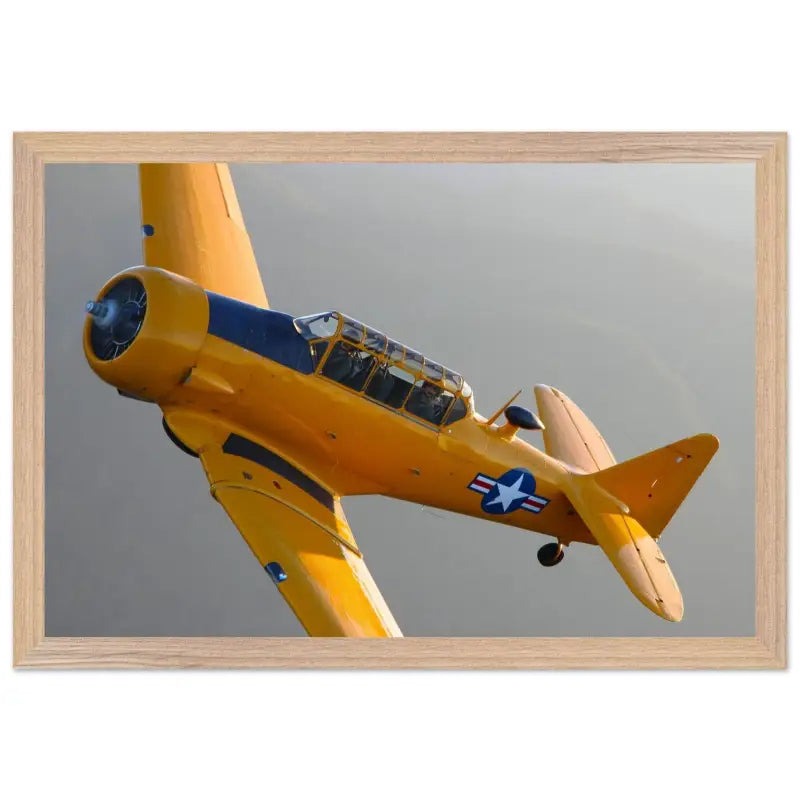 In Formation: North American T-6G Texan in Flight - Print Material - Gifts for pilots - Aviation apparel