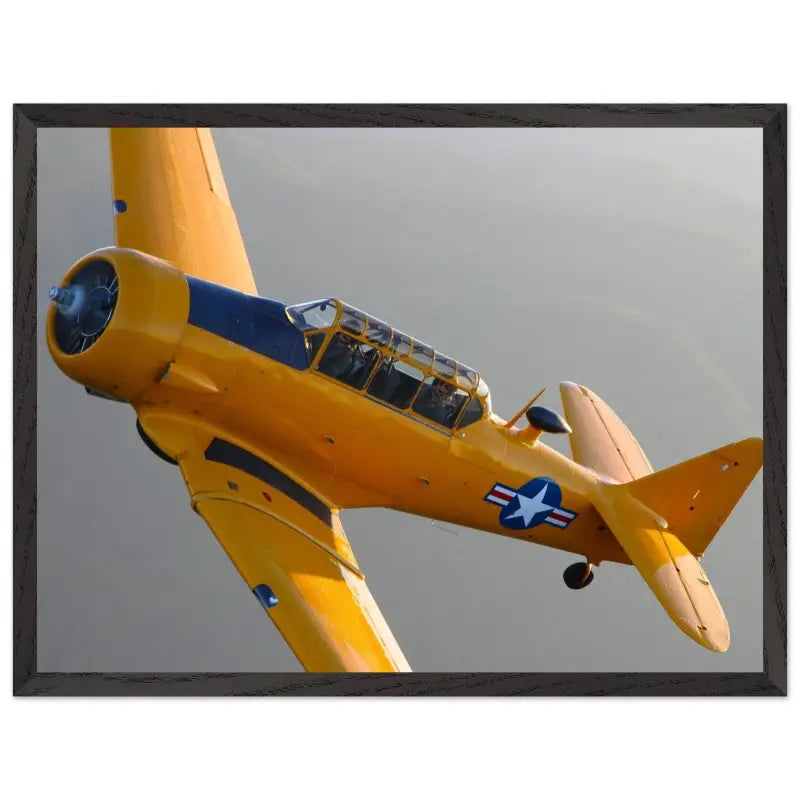In Formation: North American T-6G Texan in Flight - Print Material - Gifts for pilots - Aviation apparel