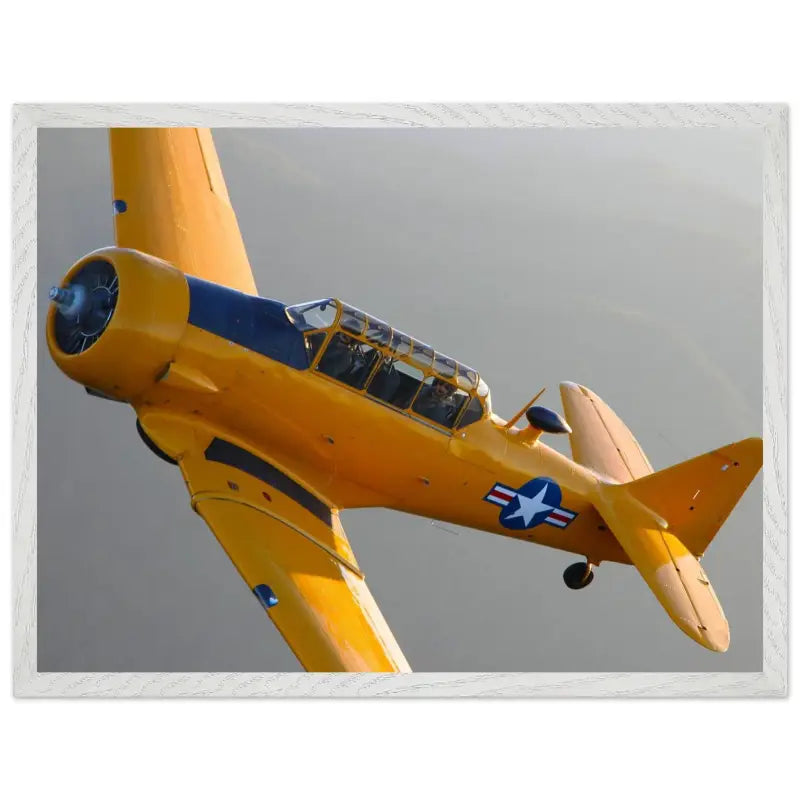 In Formation: North American T-6G Texan in Flight - Print Material - Gifts for pilots - Aviation apparel