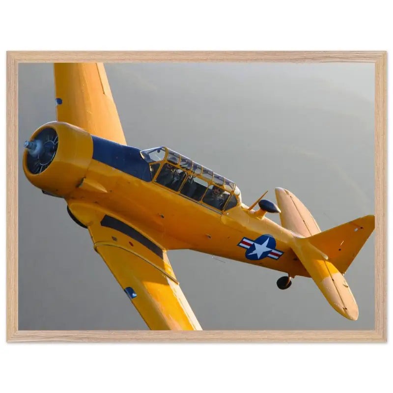 In Formation: North American T-6G Texan in Flight - Print Material - Gifts for pilots - Aviation apparel