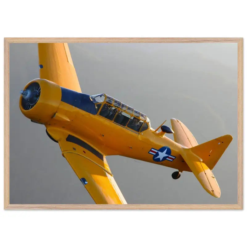 In Formation: North American T-6G Texan in Flight - Print Material - Gifts for pilots - Aviation apparel