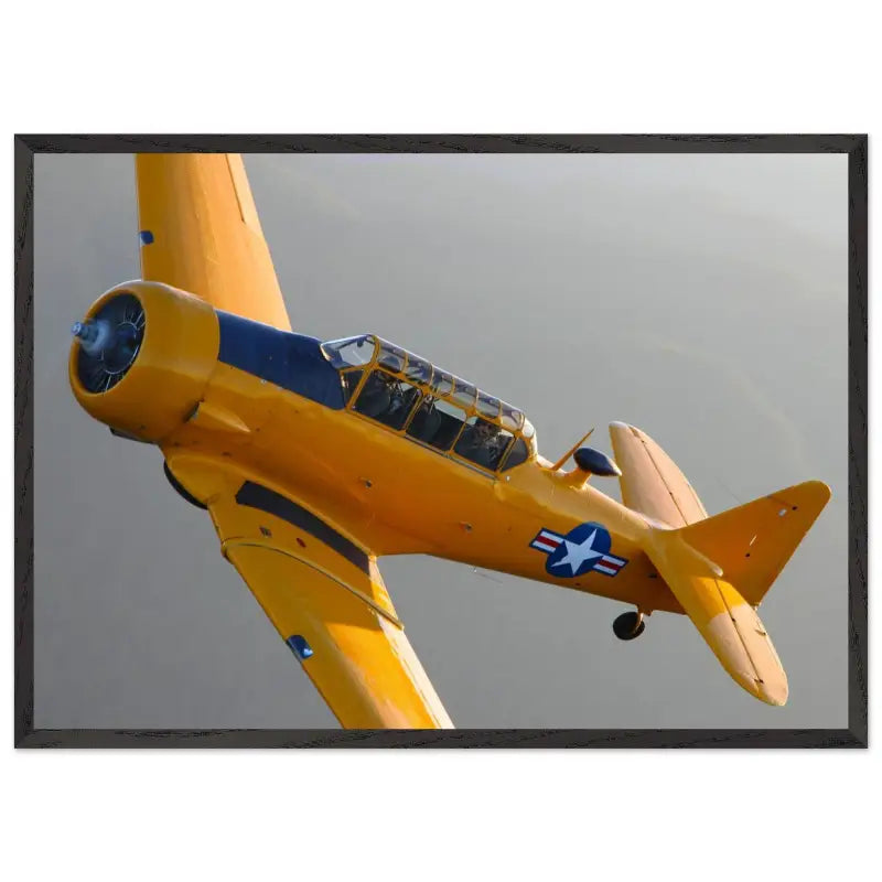 In Formation: North American T-6G Texan in Flight - Print Material - Gifts for pilots - Aviation apparel