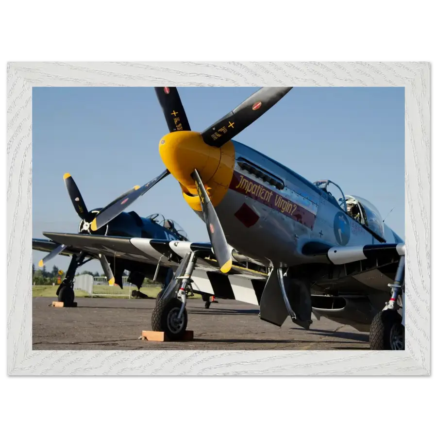 Mustang and Bearcat - Legends in Line - Print Material - Gifts for pilots - Aviation apparel