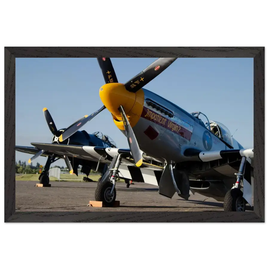 Mustang and Bearcat - Legends in Line - Print Material - Gifts for pilots - Aviation apparel