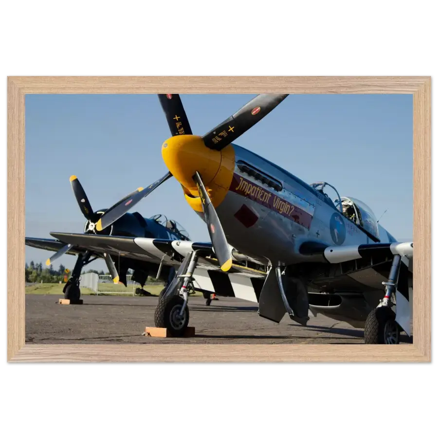 Mustang and Bearcat - Legends in Line - Print Material - Gifts for pilots - Aviation apparel