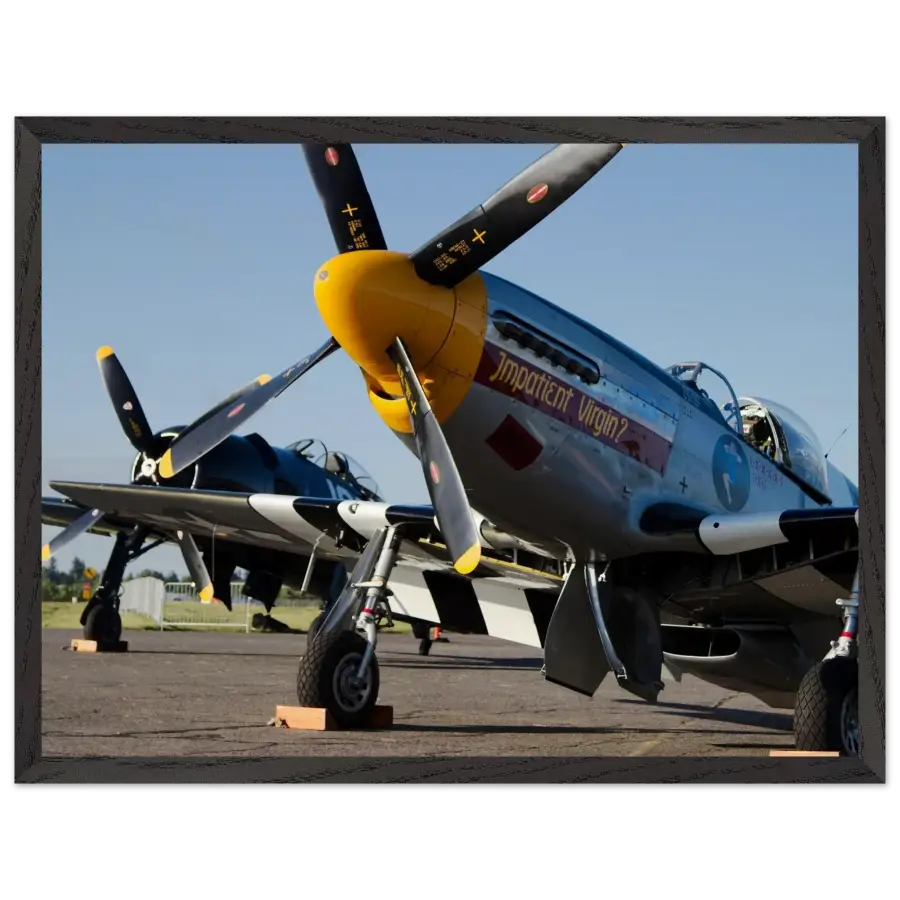 Mustang and Bearcat - Legends in Line - Print Material - Gifts for pilots - Aviation apparel