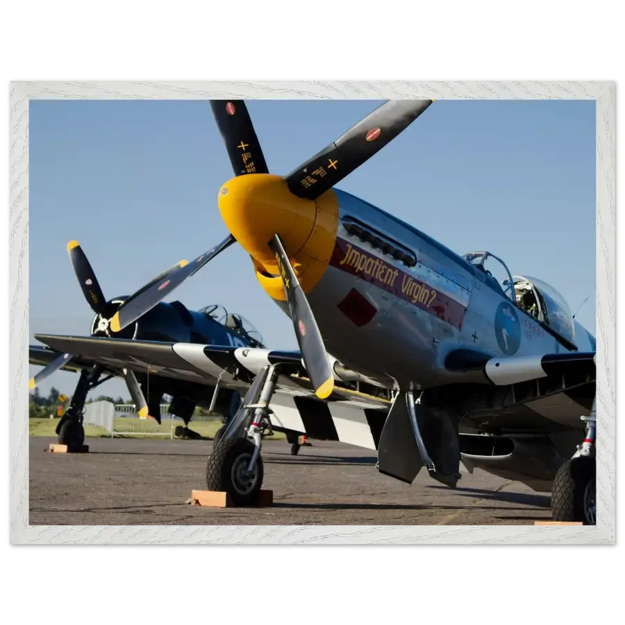 Mustang and Bearcat - Legends in Line - Print Material - Gifts for pilots - Aviation apparel