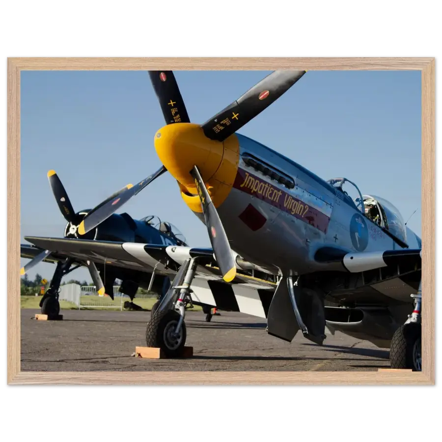 Mustang and Bearcat - Legends in Line - Print Material - Gifts for pilots - Aviation apparel