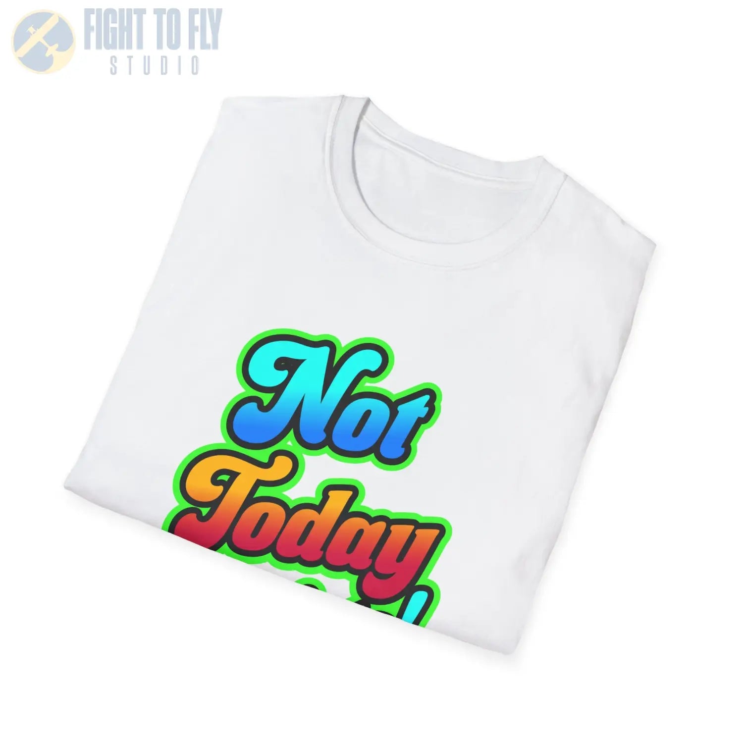 Not Today Fascists! - T-Shirt - Pilot gifts - WWII warbird t-shirt