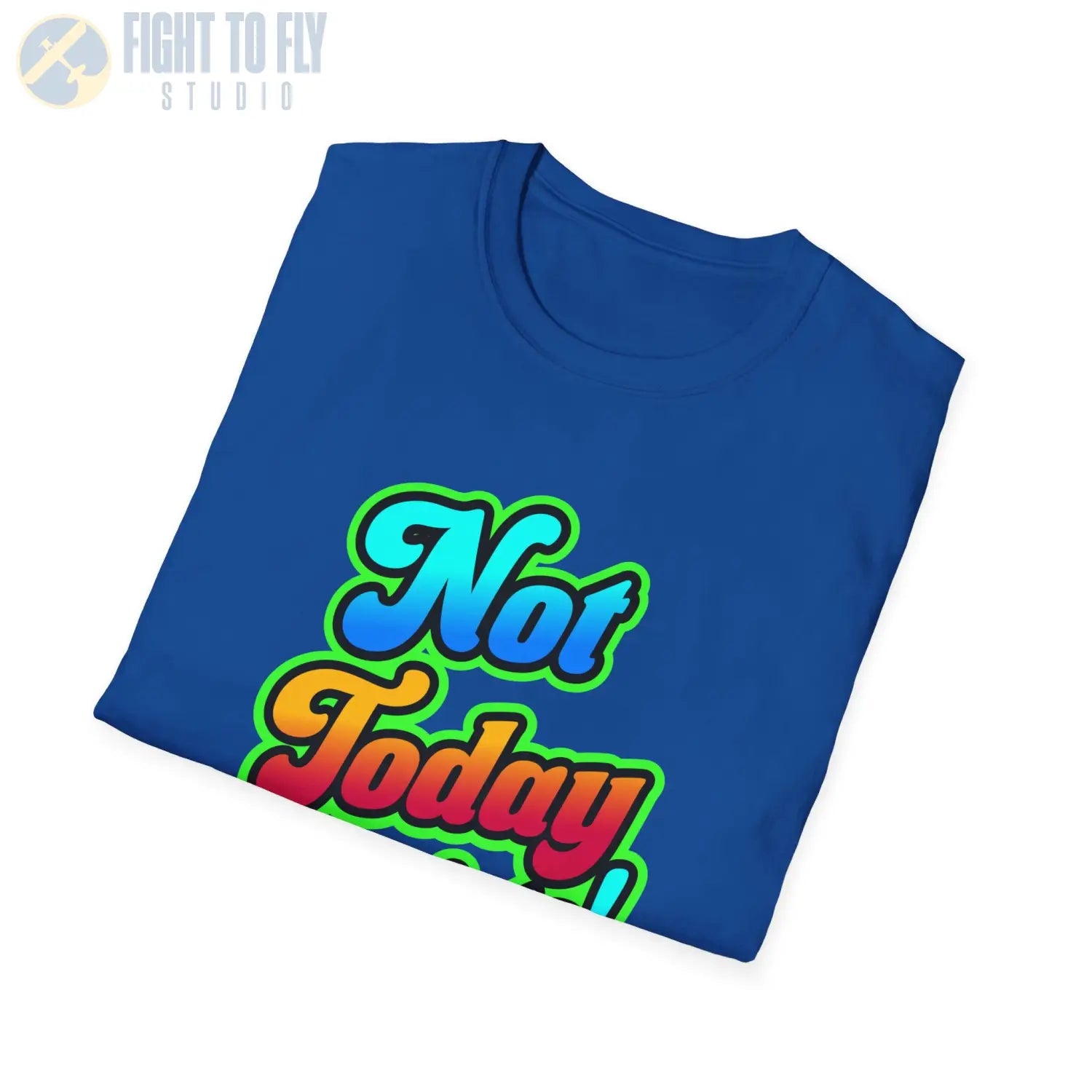 Not Today Fascists! - T-Shirt - Pilot gifts - WWII warbird t-shirt